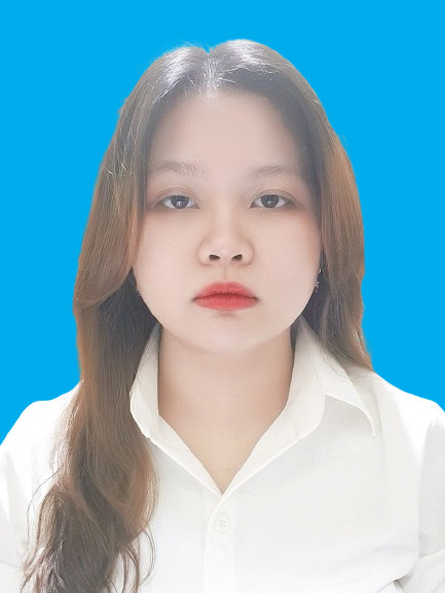 Vũ Trần Mỹ Anh
