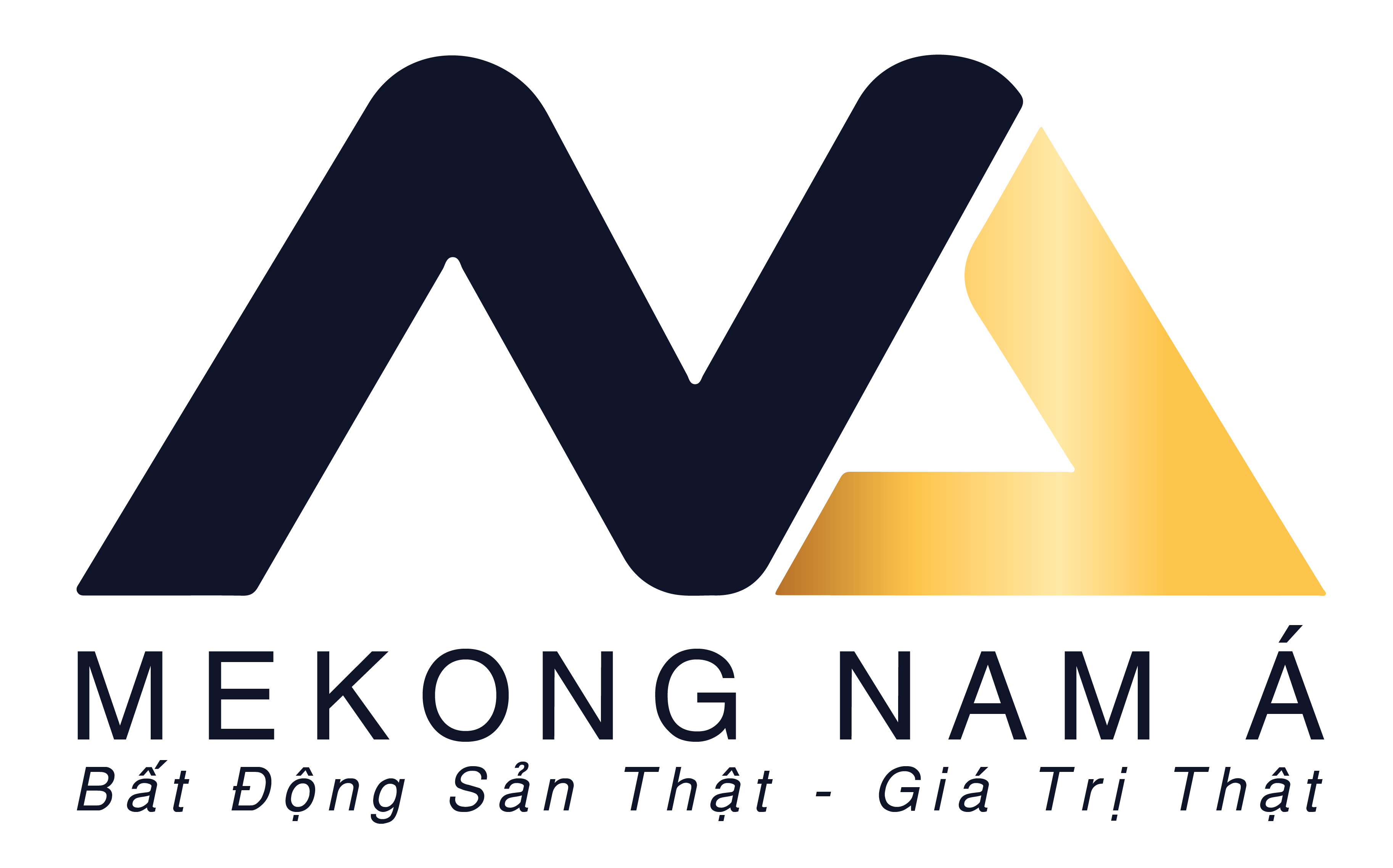 Công ty Cổ phần Đầu tư Mekong Nam Á