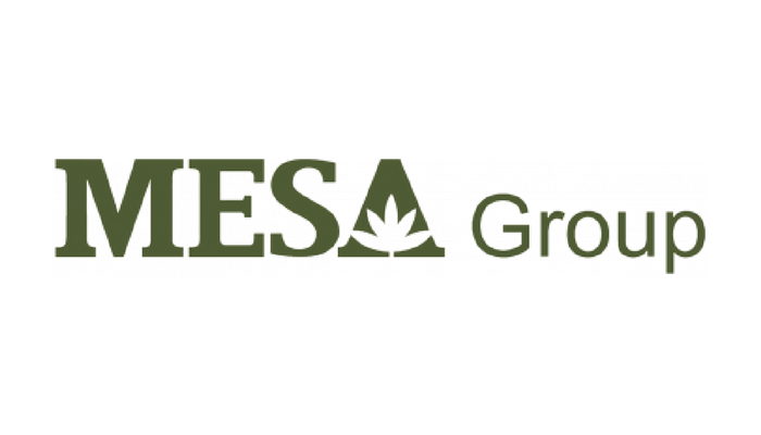 MESA GROUP